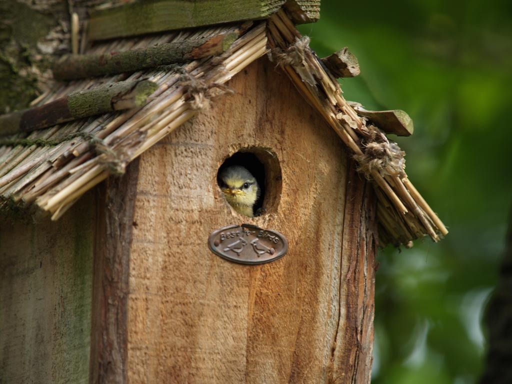 Les Gites De Cherisey Exterior photo
